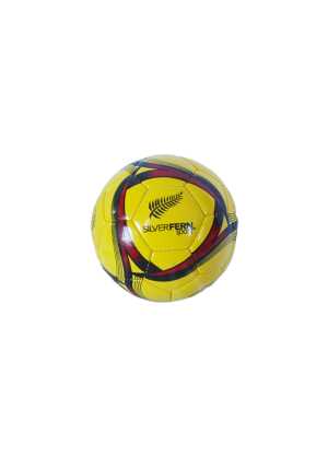 Silver Fern TPU Futsal Ball Size 4